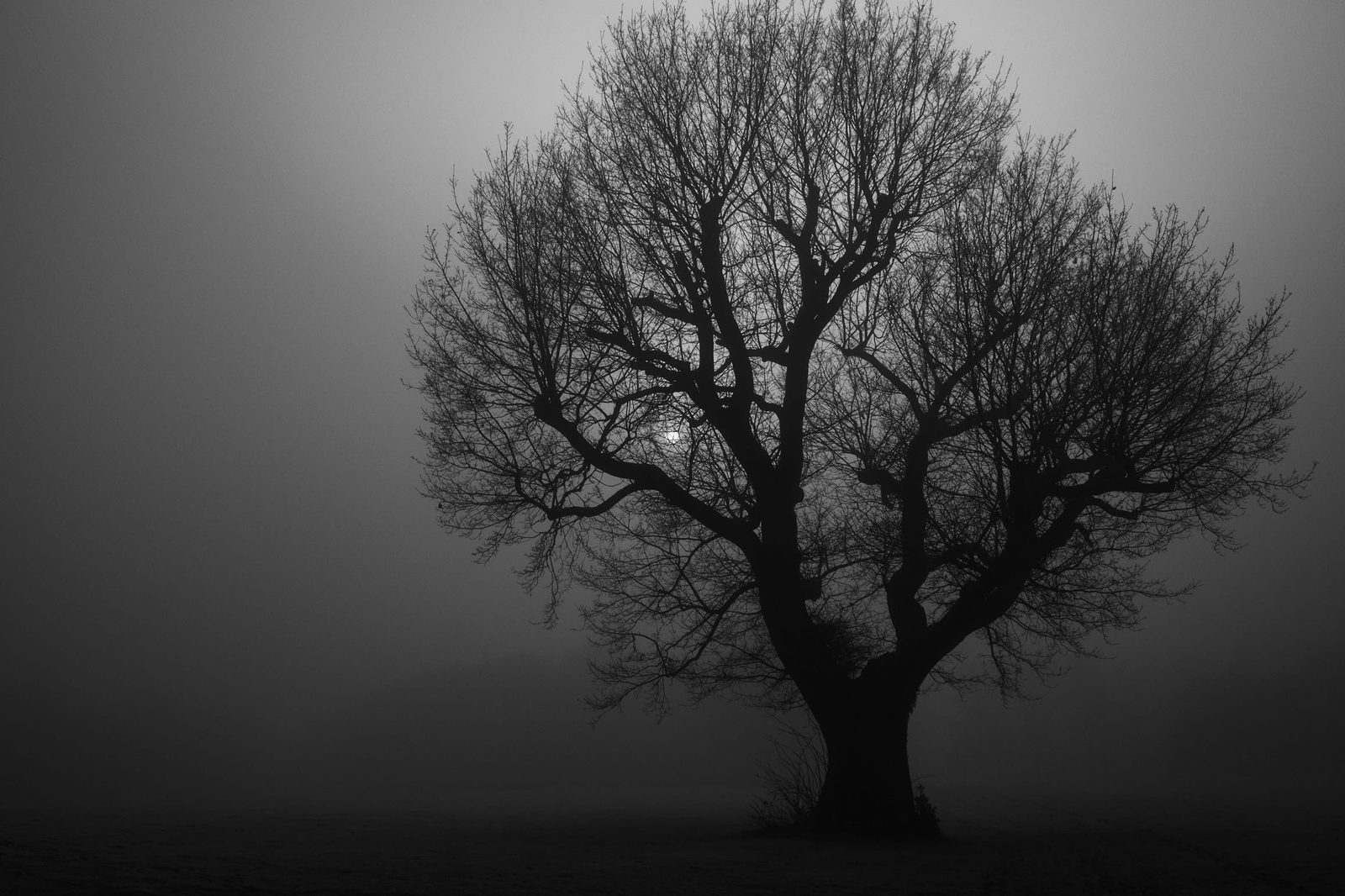 Low key processing of the foggy scene