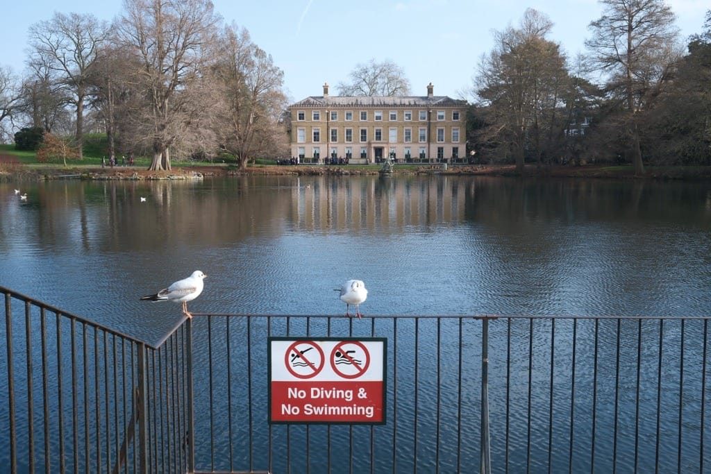 IGPOTY, Kew Gardens, February, 2025