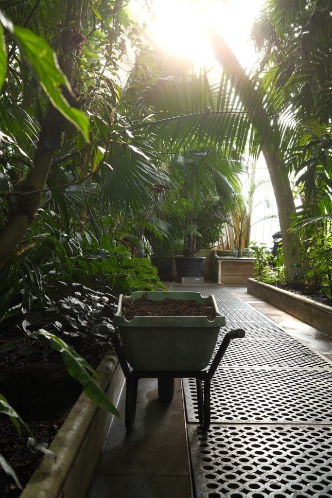 IGPOTY, Kew Gardens, February, 2025