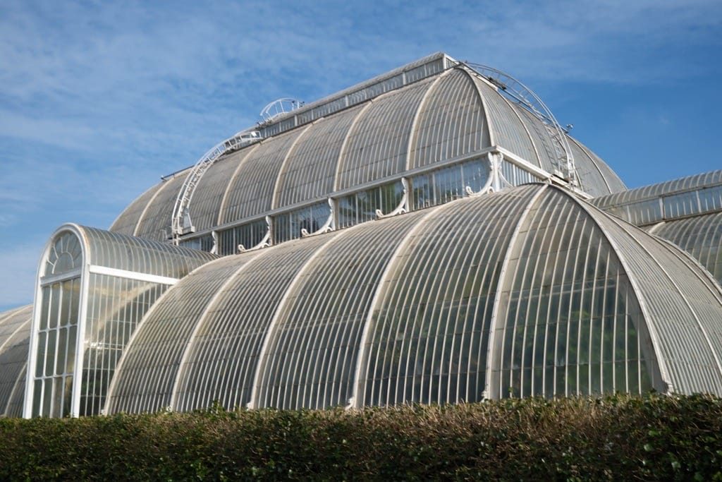 A return to Kew Gardens and a day to remember