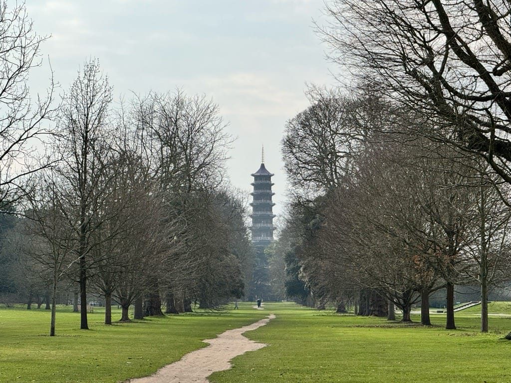 IGPOTY, Kew Gardens, February, 2025