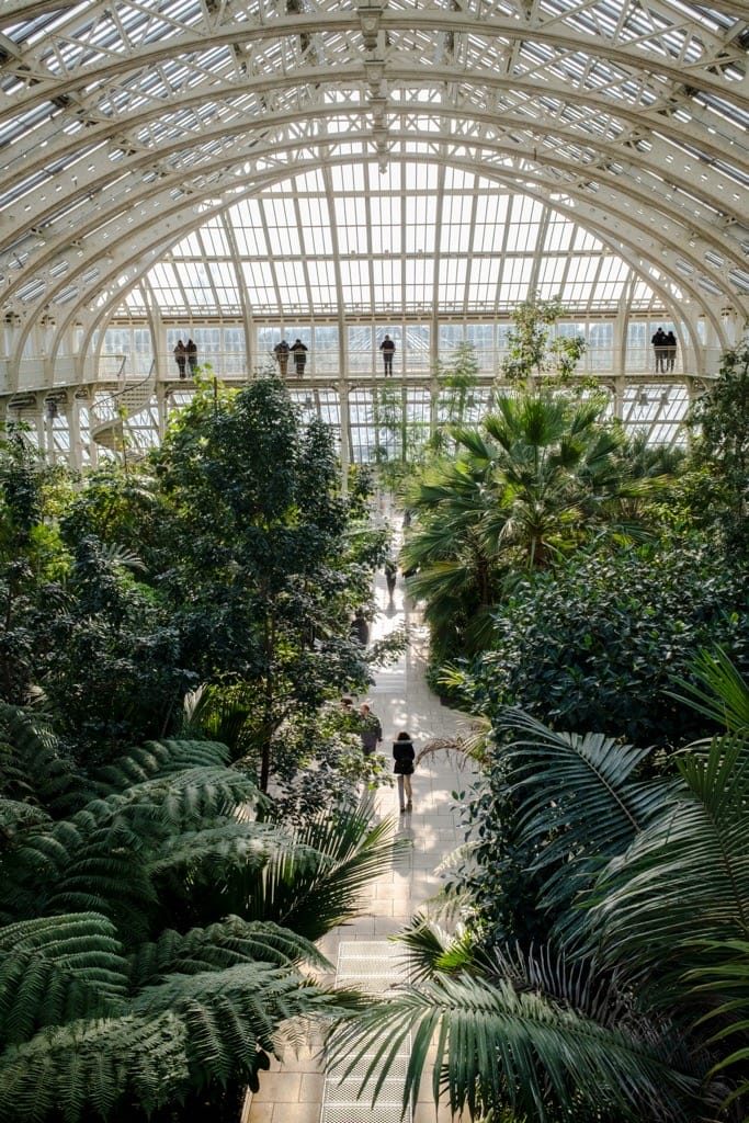 IGPOTY, Kew Gardens, February, 2025