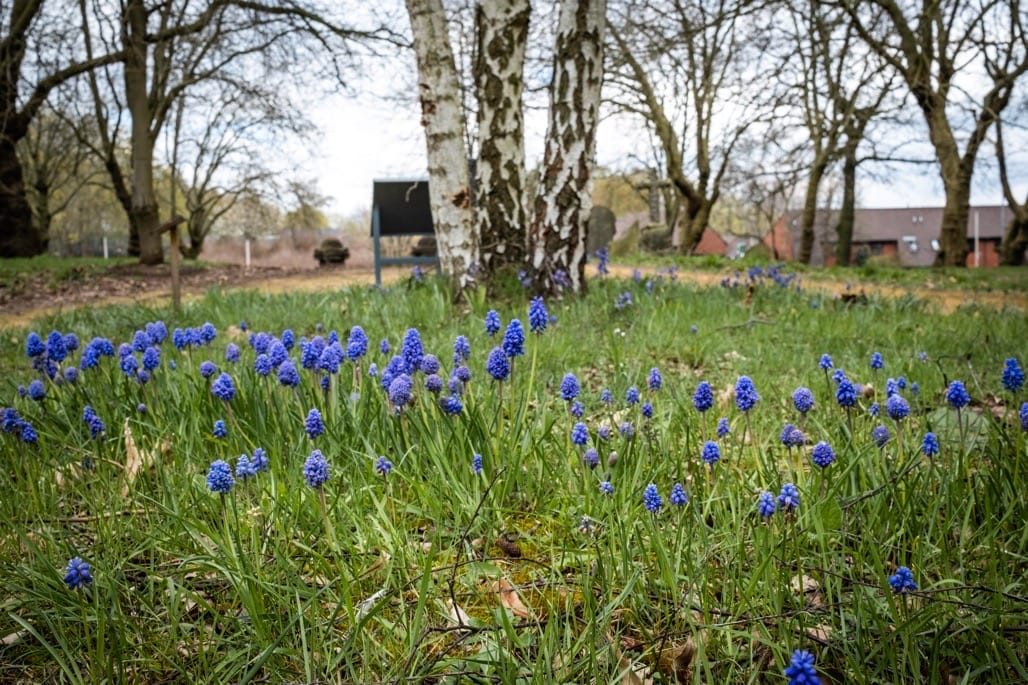 Key Hill Cemetery, Jewellery Quarter, April 2023