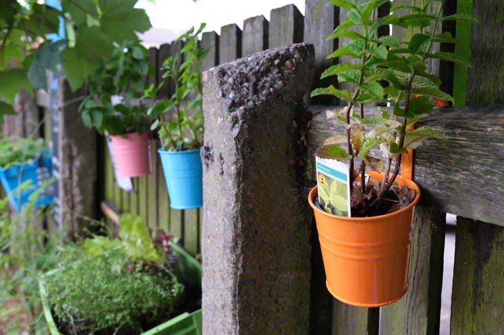 Key to the City Brum, Fierce Festival, 2022, Blyden's Garden