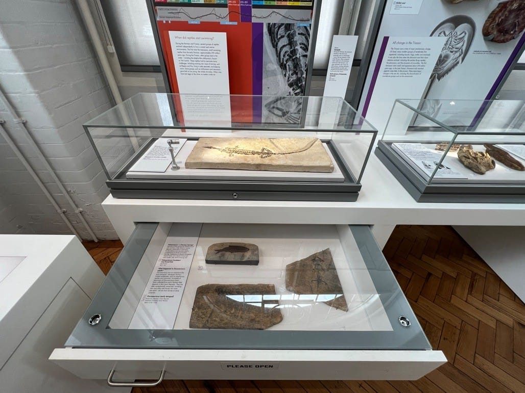 Key to the City Brum, Fierce Festival, 2022, Lapworth Museum