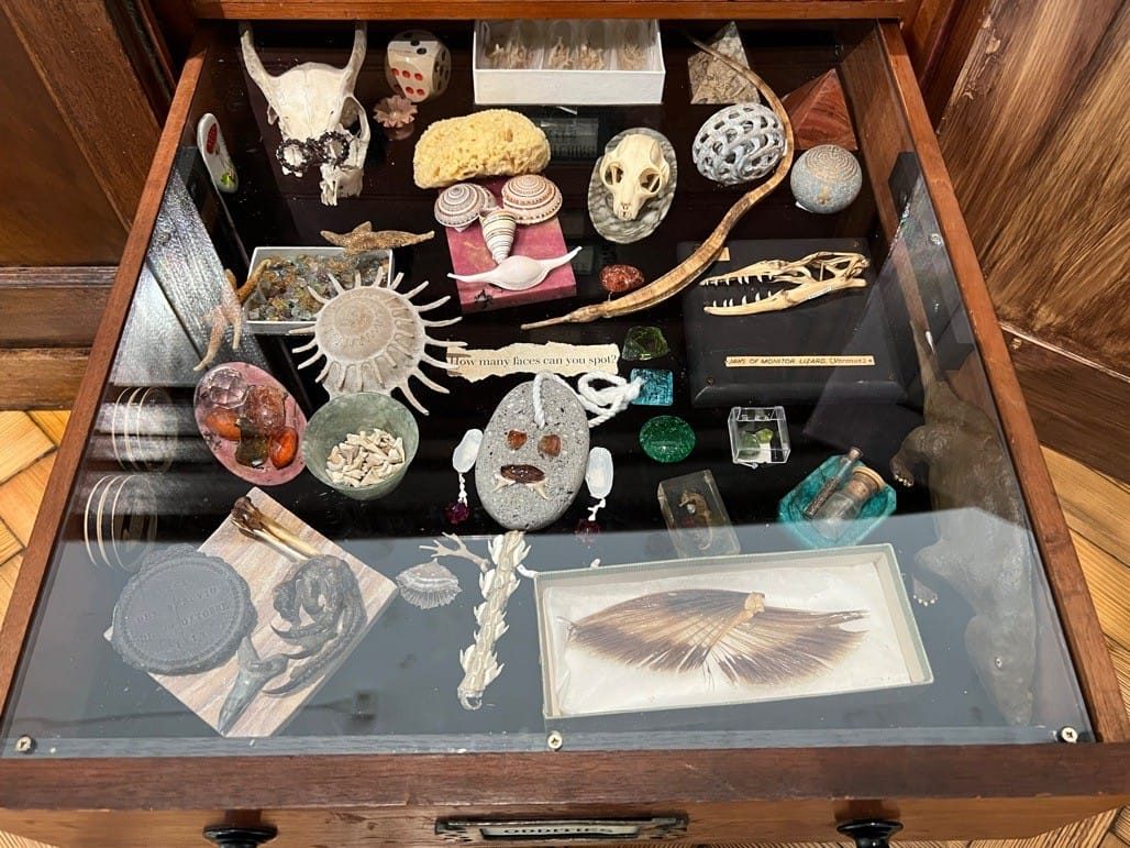 Key to the City Brum, Fierce Festival, 2022, Lapworth Museum