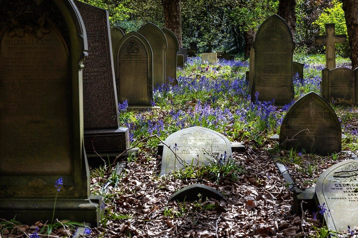 Bluebells at Key Hill Cemetery