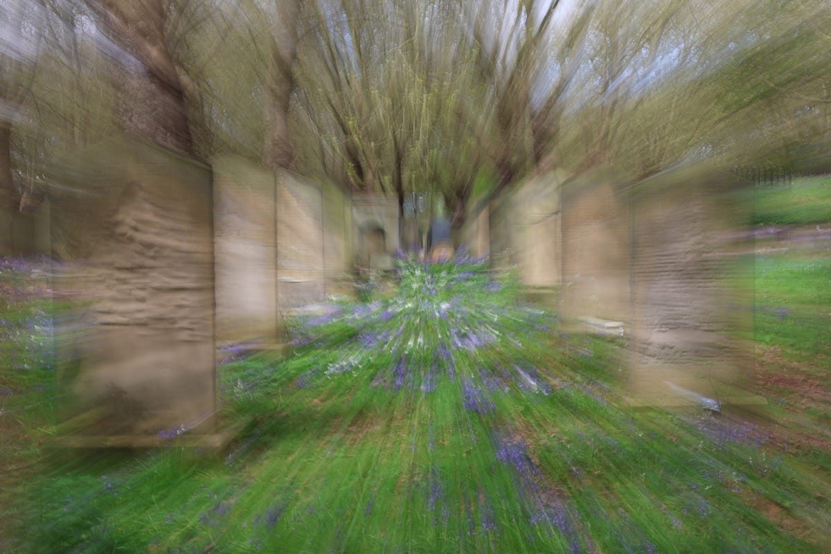 Bluebells at Key Hill Cemetery