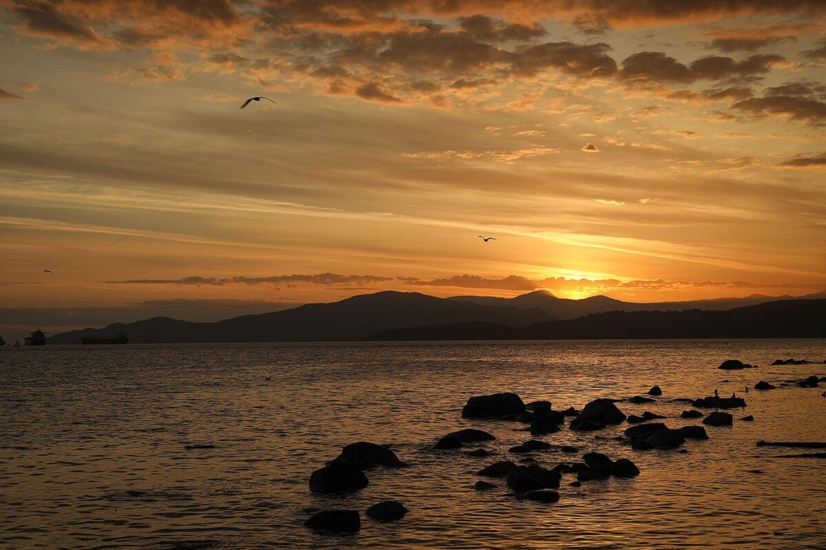 Photographing Vancouver– Stanley Park