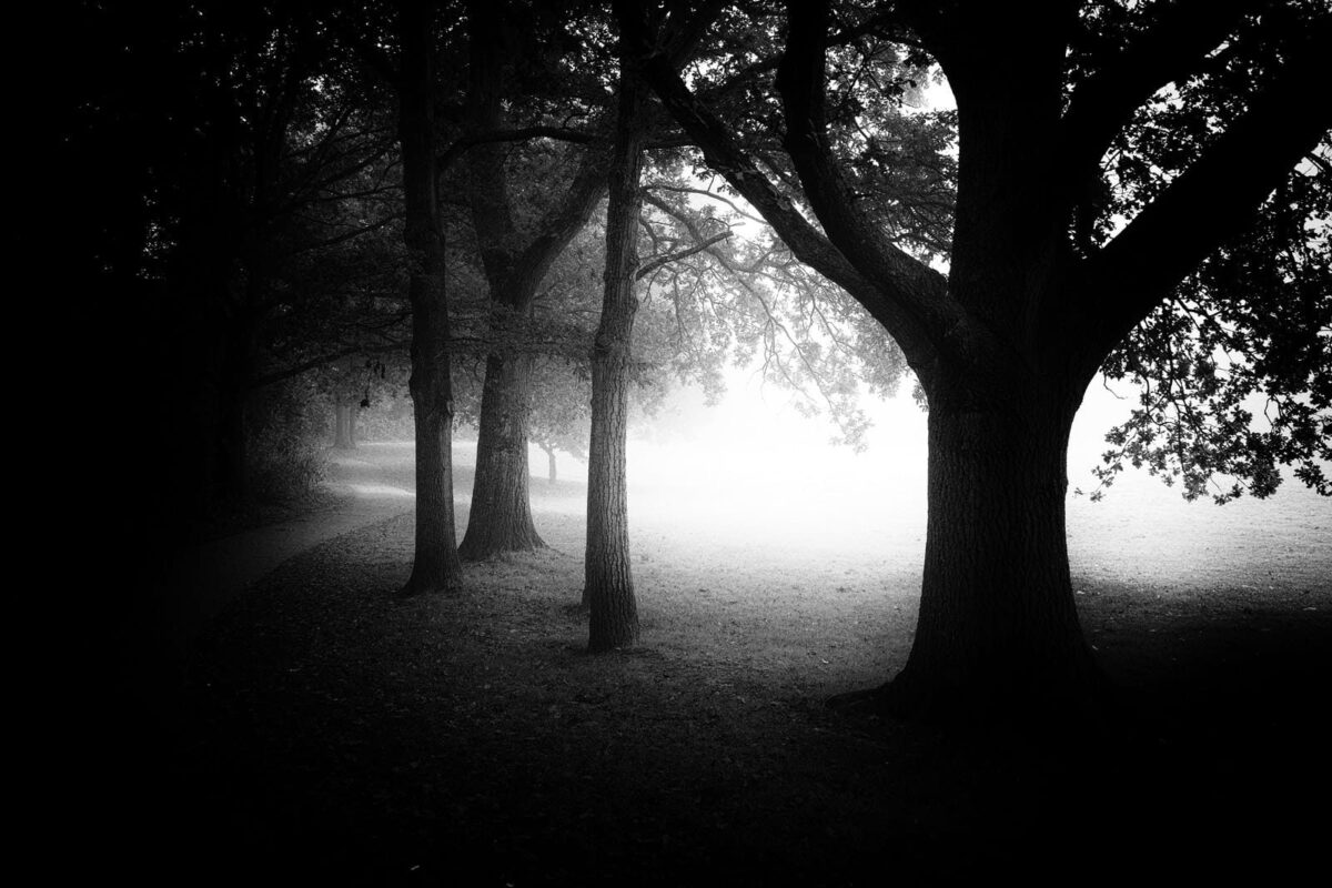 Fog