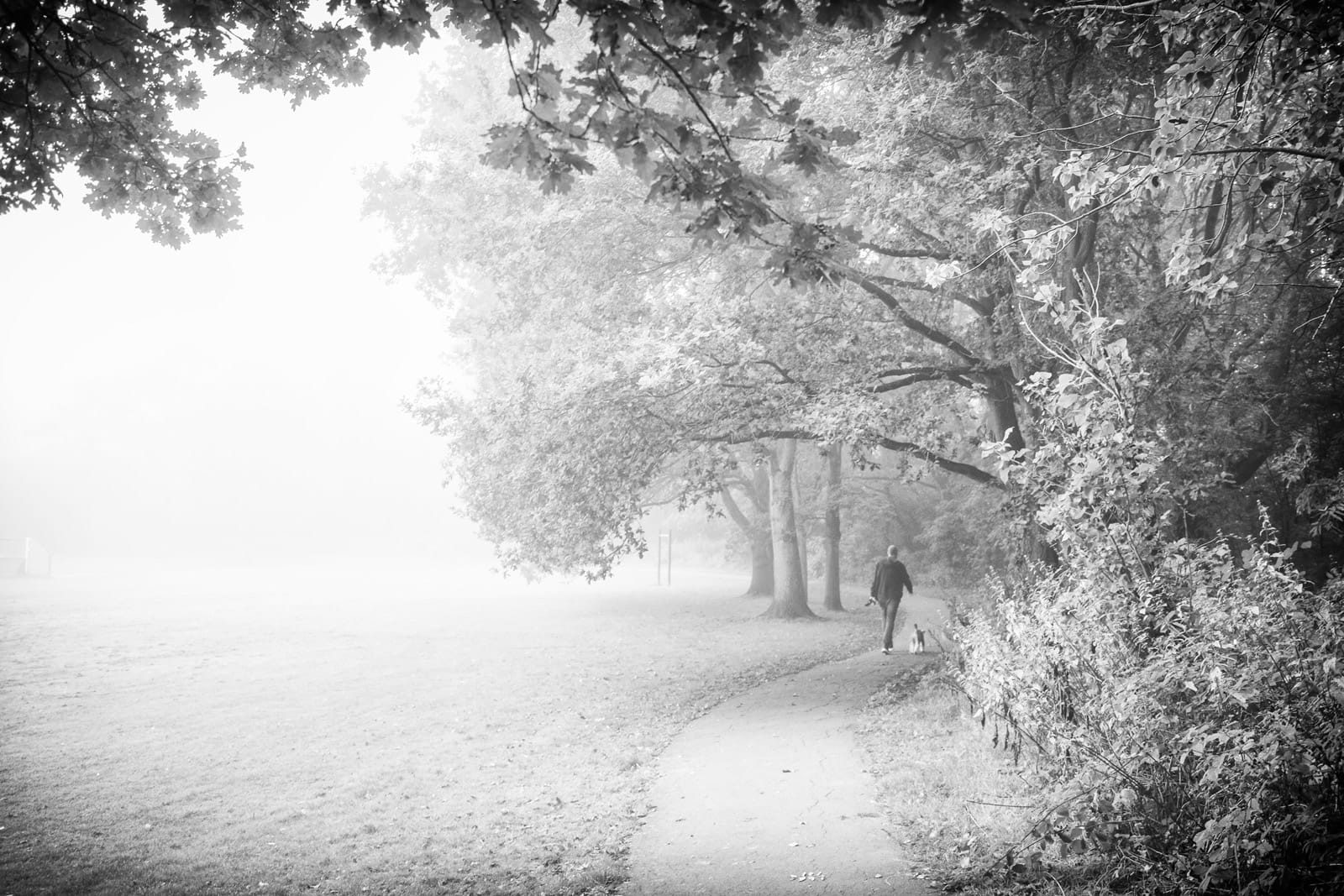 Fog in Knowle Park