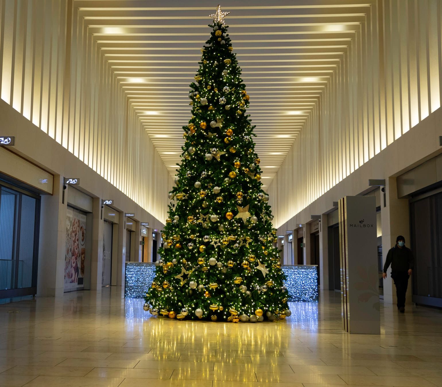 Christmas Tree - Mailbox - Birmingham