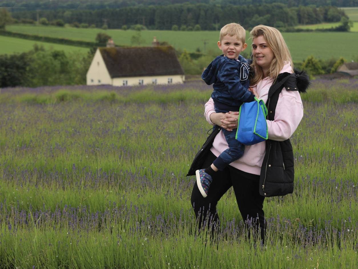Cotswold Lavender Fields
