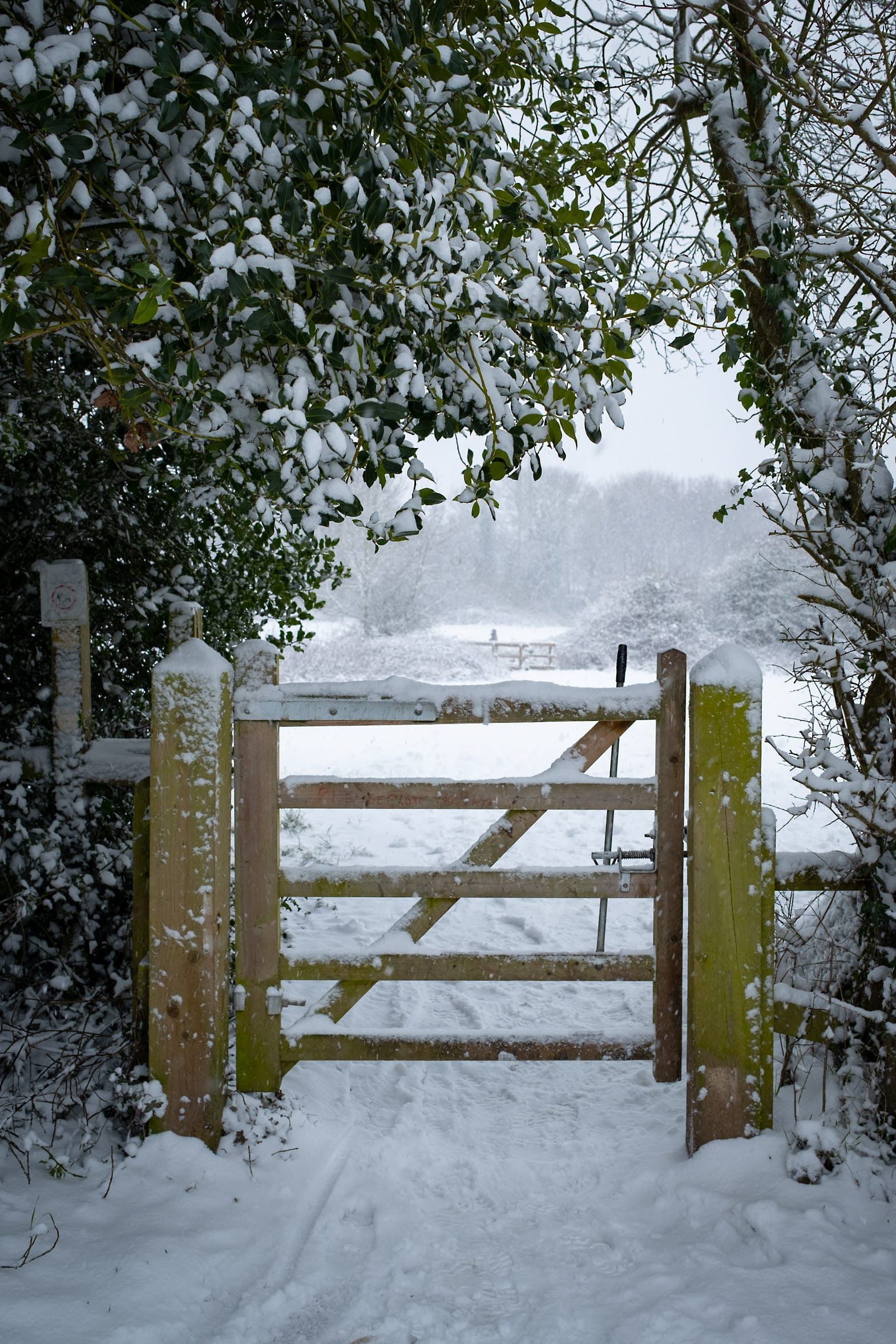 Gate in the snow on Kixley Lane