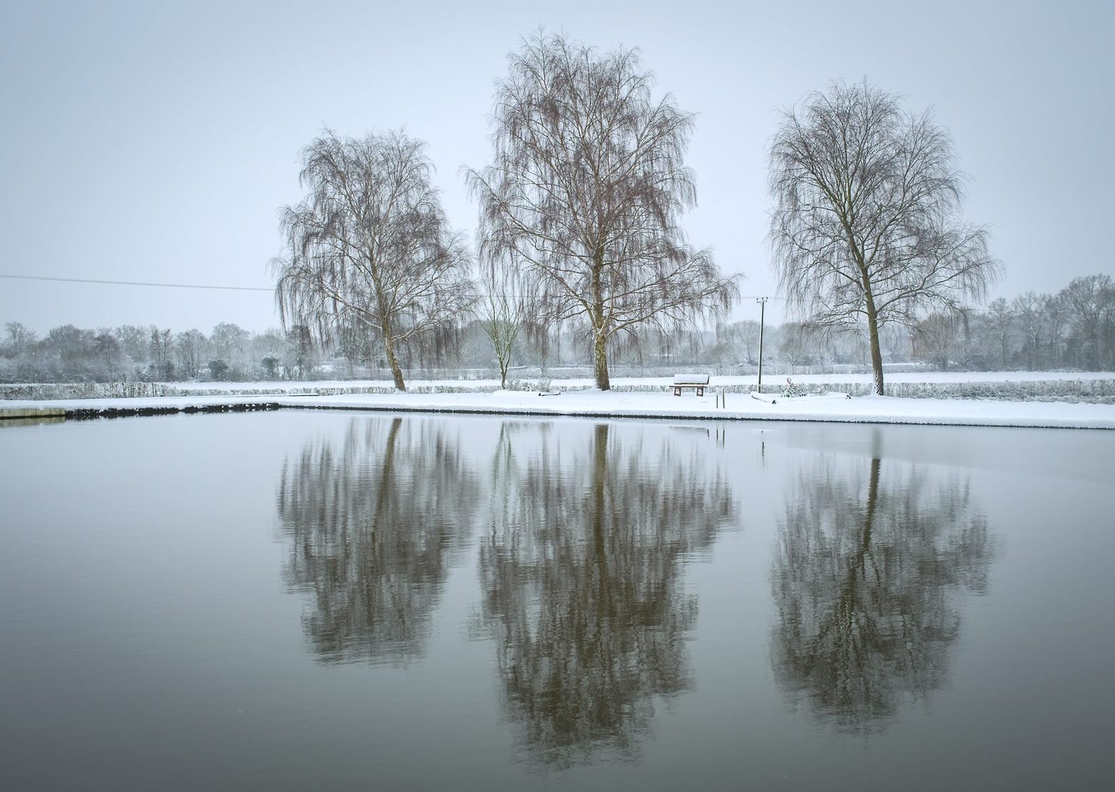 Trees along the canal in the snow