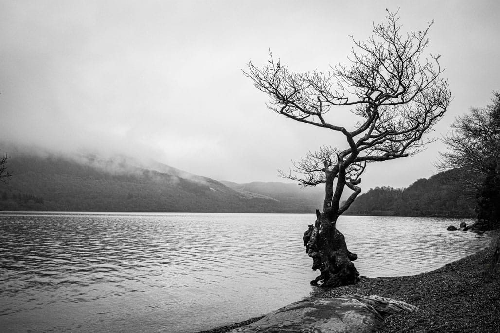 Loch Lomond Weekend February 2023