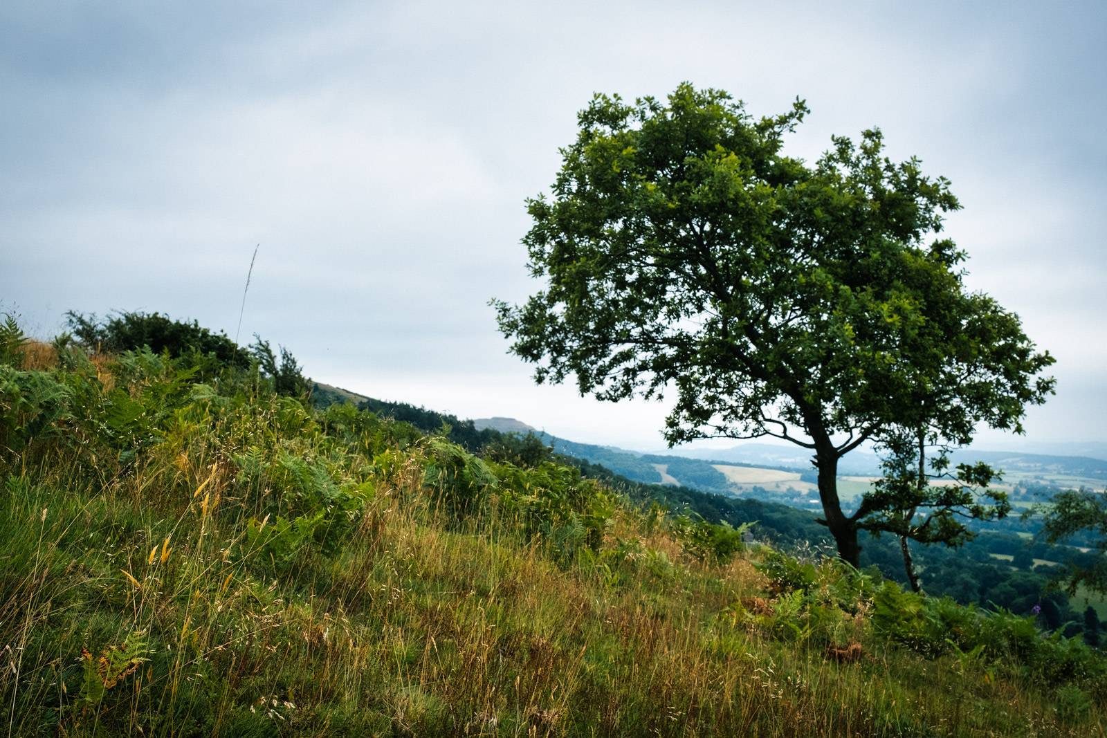 Malvern Hills