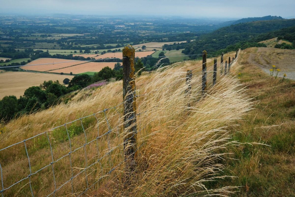 The Malvern Hills and my camera