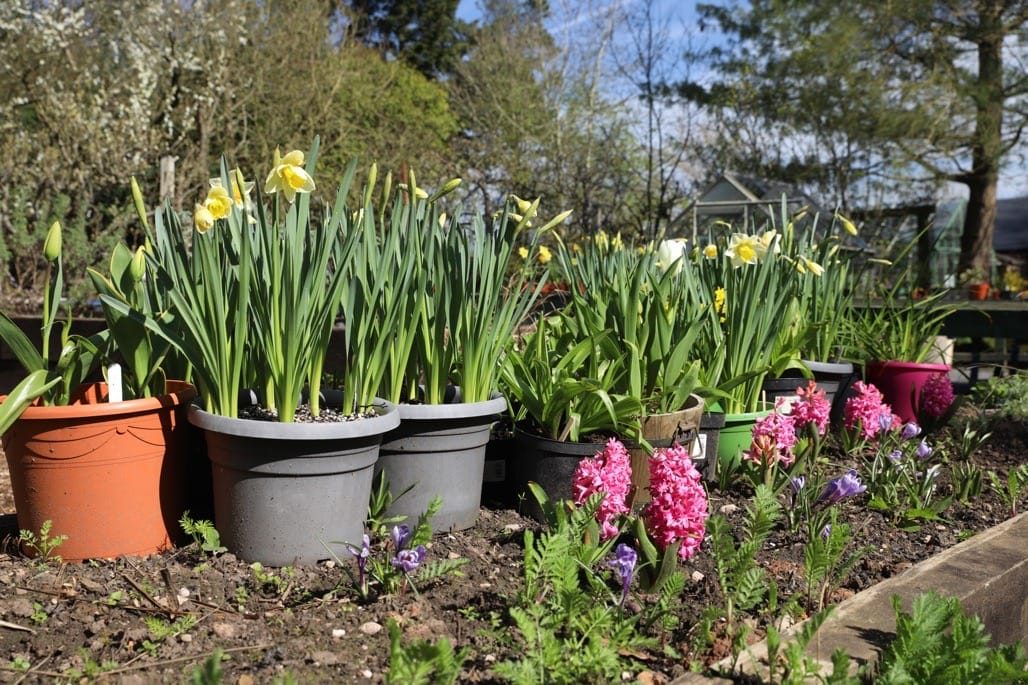 Martineau Gardens Instameet – IgersbirminghamUK