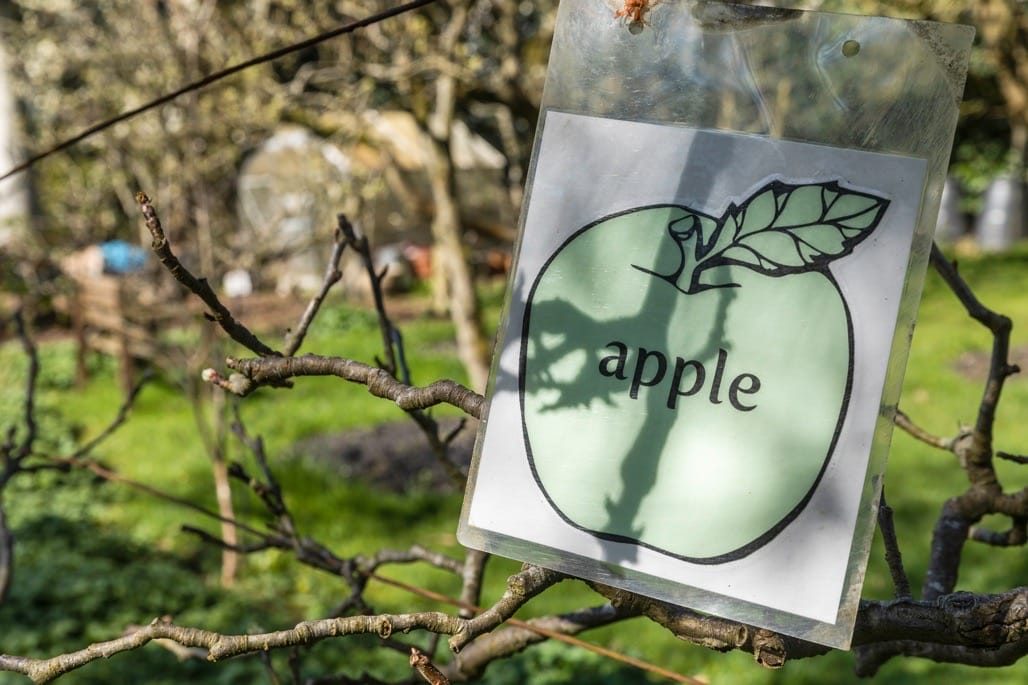 Martineau Gardens, Edgbaston, IgersbirminghamUK, April