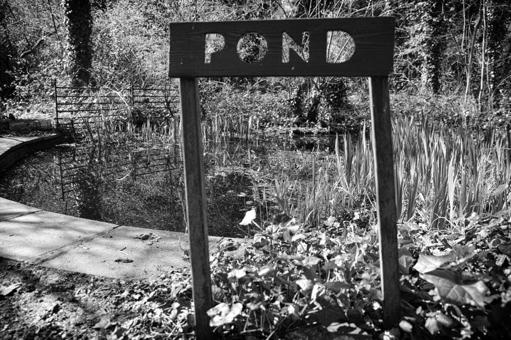 Martineau Gardens, Edgbaston, IgersbirminghamUK, April
