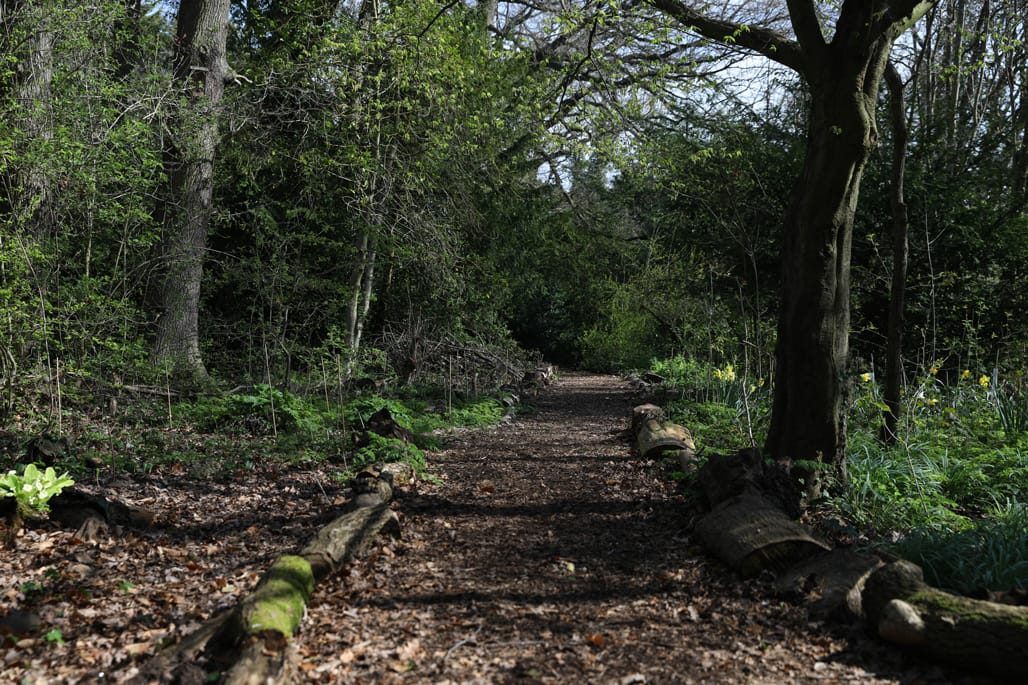 Martineau Gardens, Edgbaston, IgersbirminghamUK, April