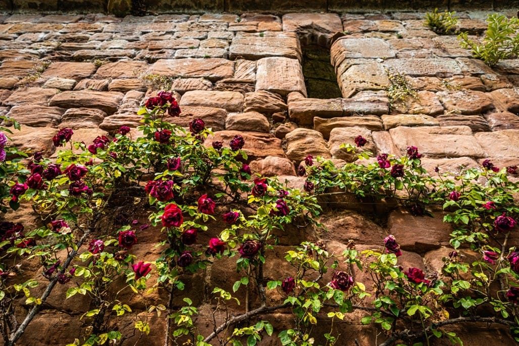 Maxstoke Castle, Near Coleshill, June 2023.