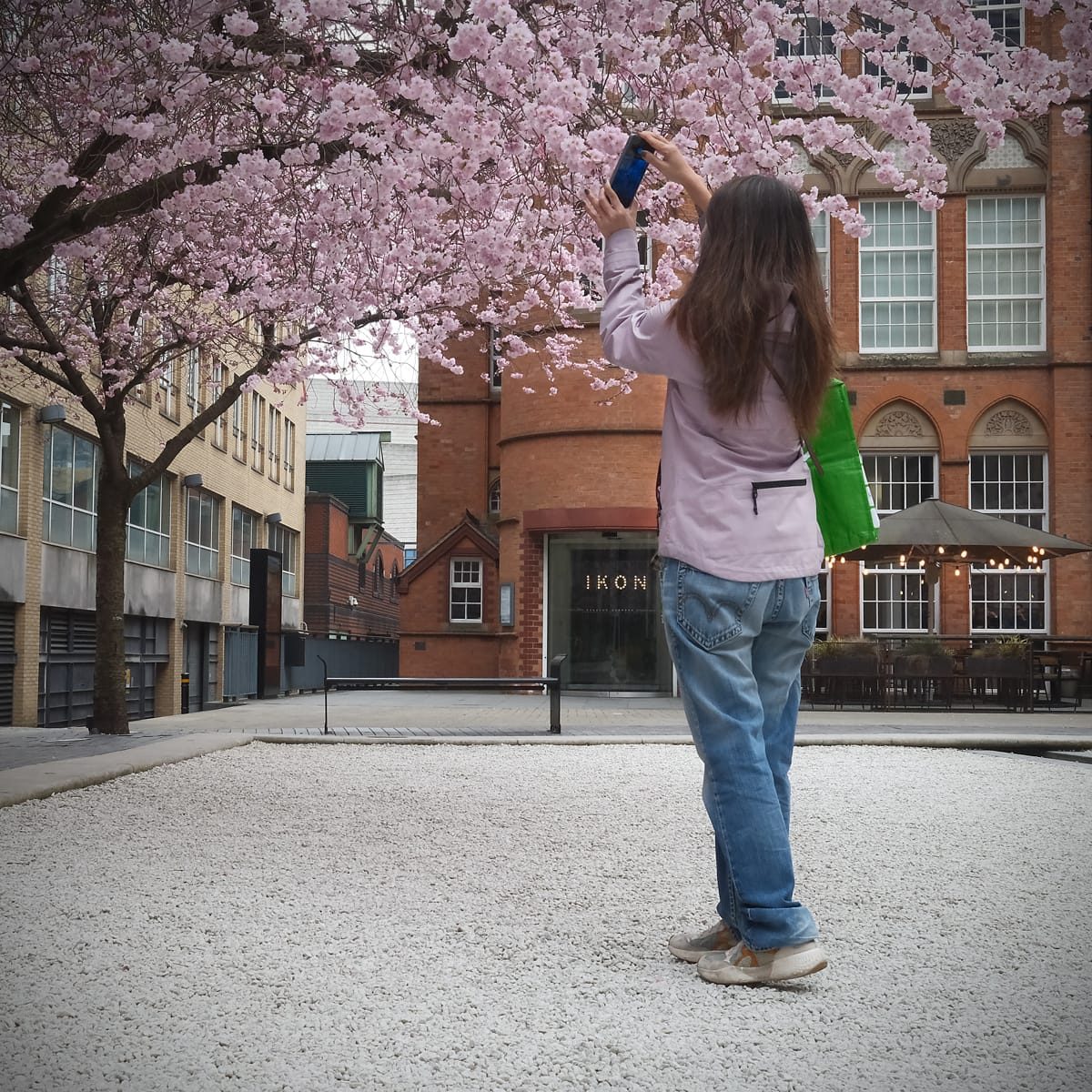 Blossom, Oozell's Square, March, 2025