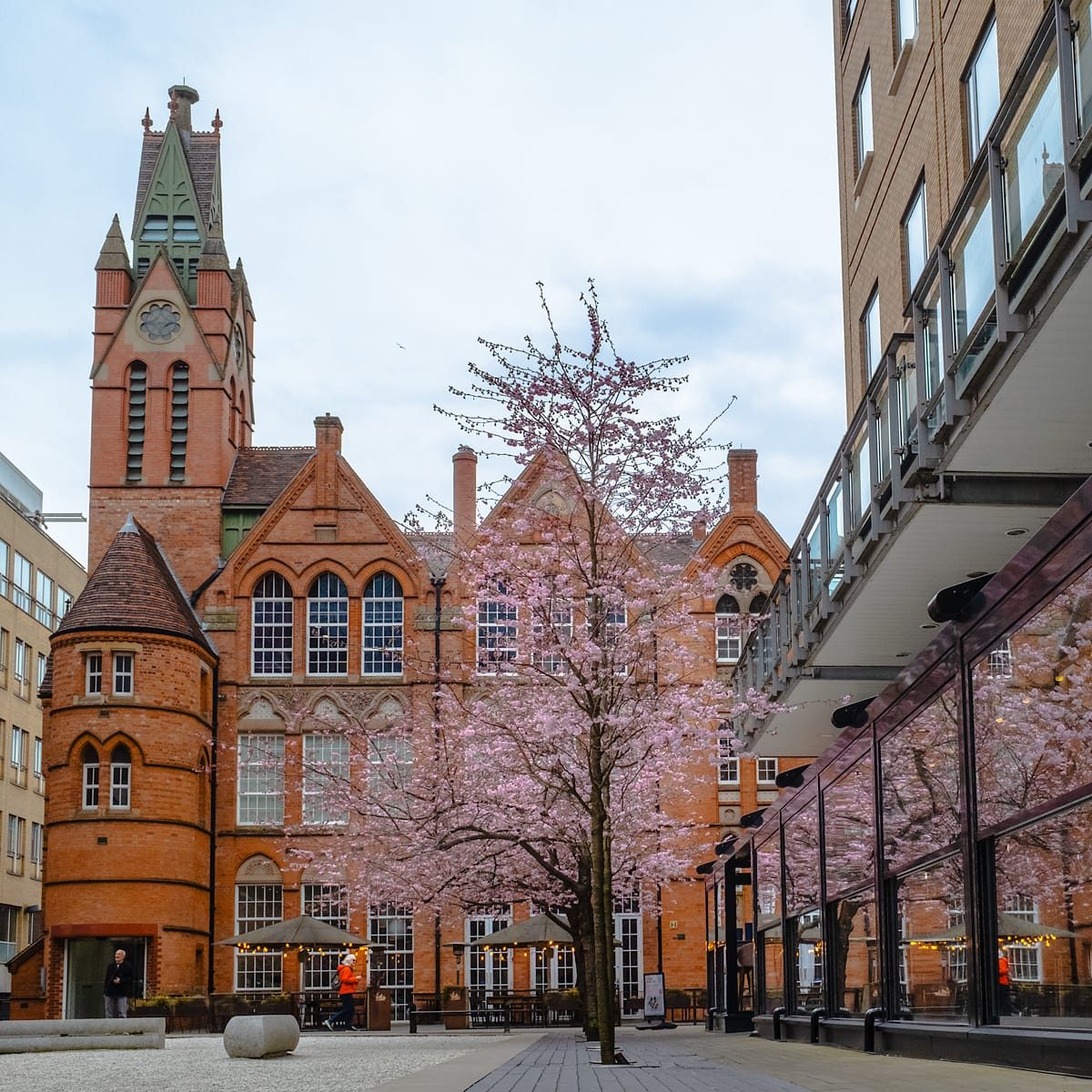 Blossom, Oozell's Square, March, 2025