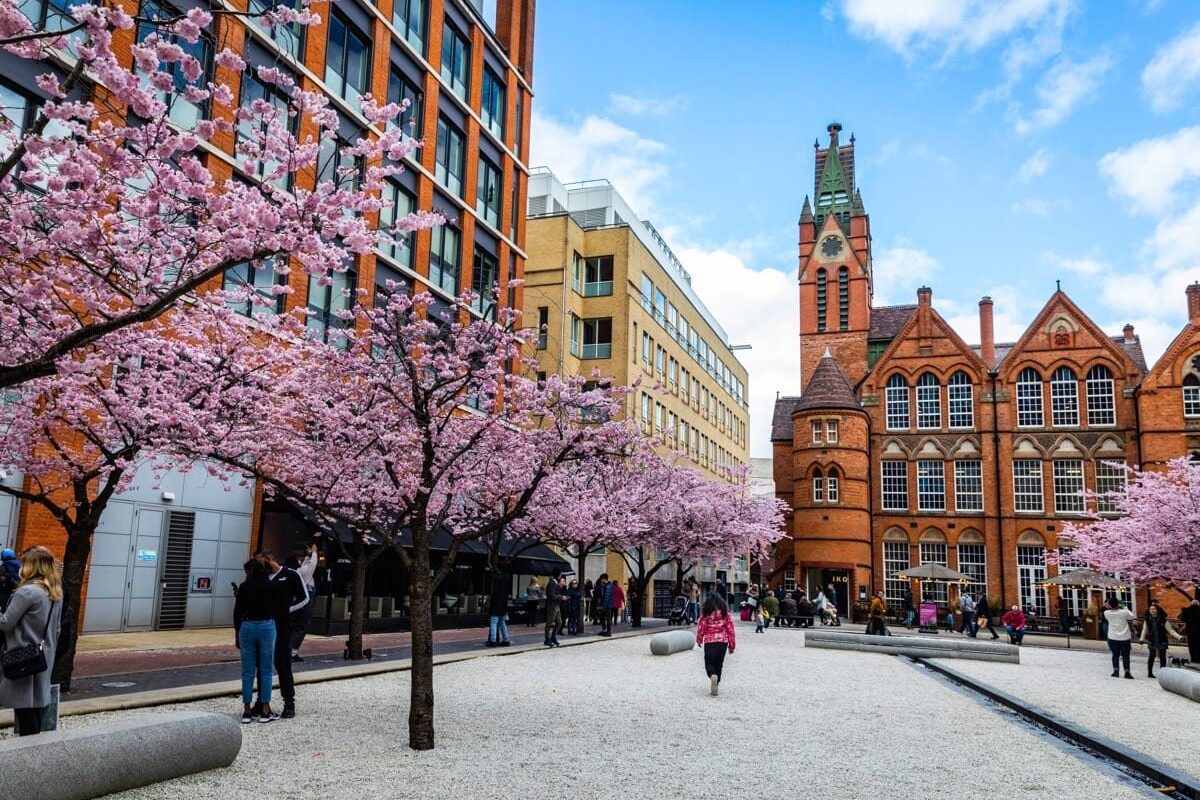Birmingham Blossom Watch