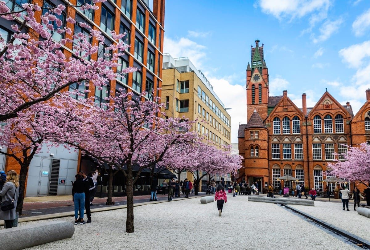 Birmingham Blossom Watch