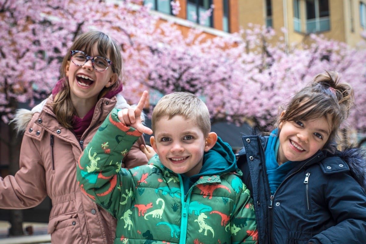 Cherry Blossom, Oozell's Square, Birmingham, March 2023