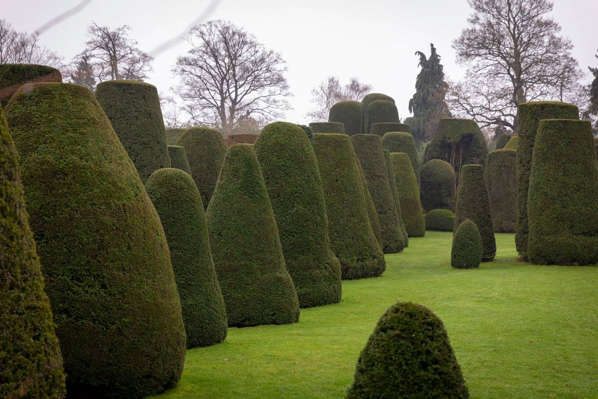 Packwood House at Christmas