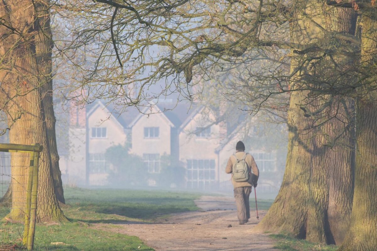 Mist at Packwood