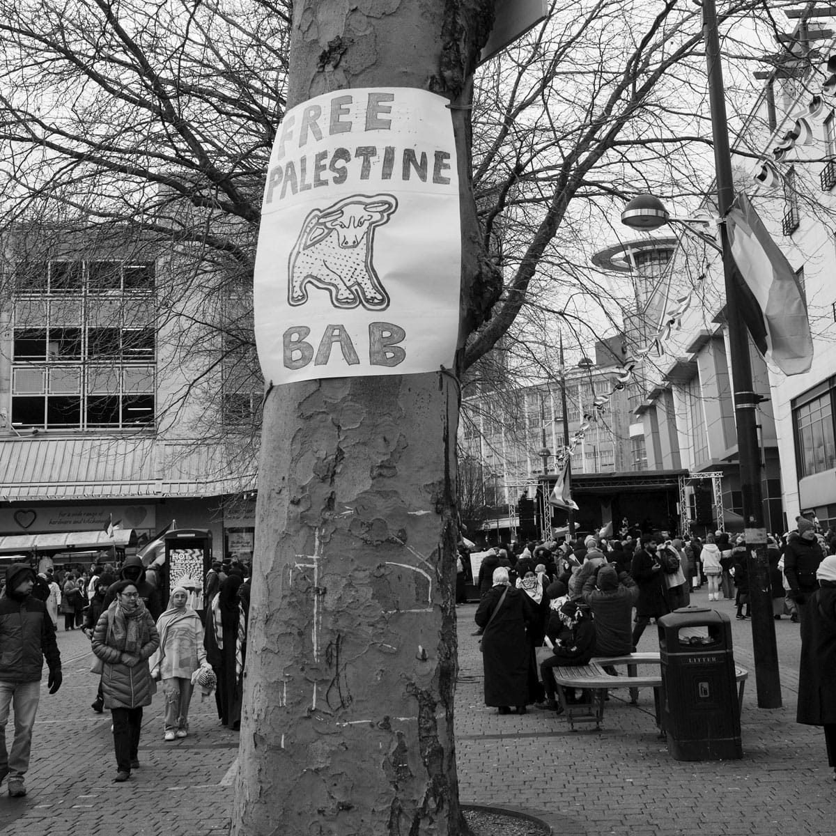 Pro Palestinian Rally, Birmingham, Jan 2024