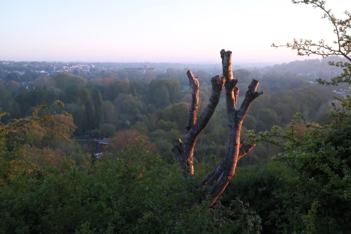Photographing Winchester