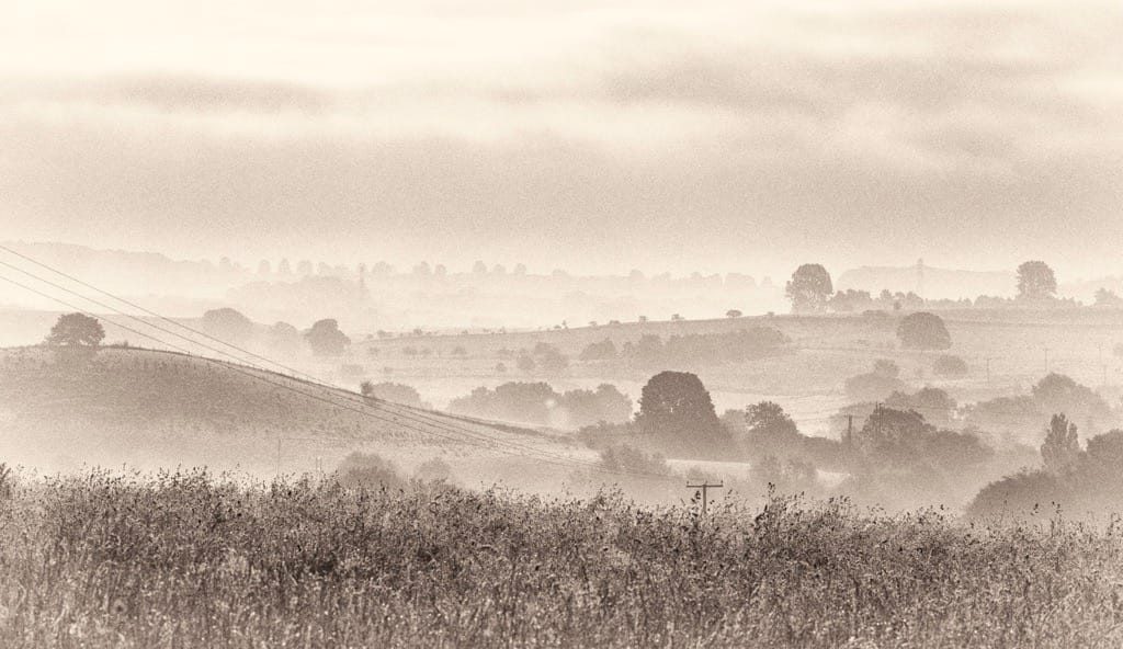 Poppy field, Kinver, June, 2024