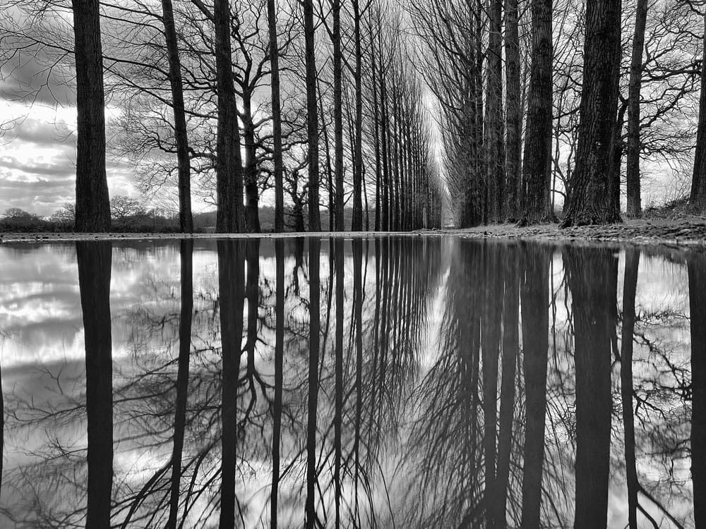 Reflections at Umberslade Estate