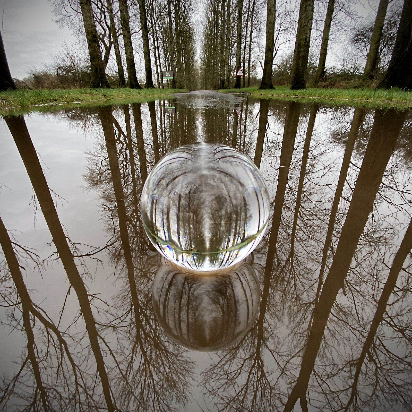 Lensball reflections at Umberslade