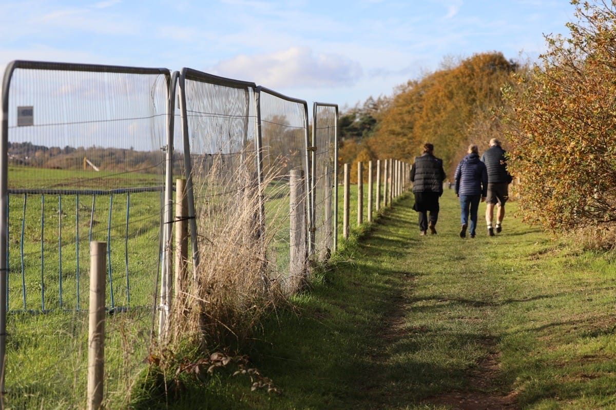 The HS2 path, 16 Acre Wood, Berkswell, November 2025.