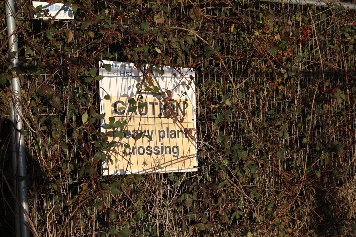 The HS2 path, 16 Acre Wood, Berkswell, November 2025.