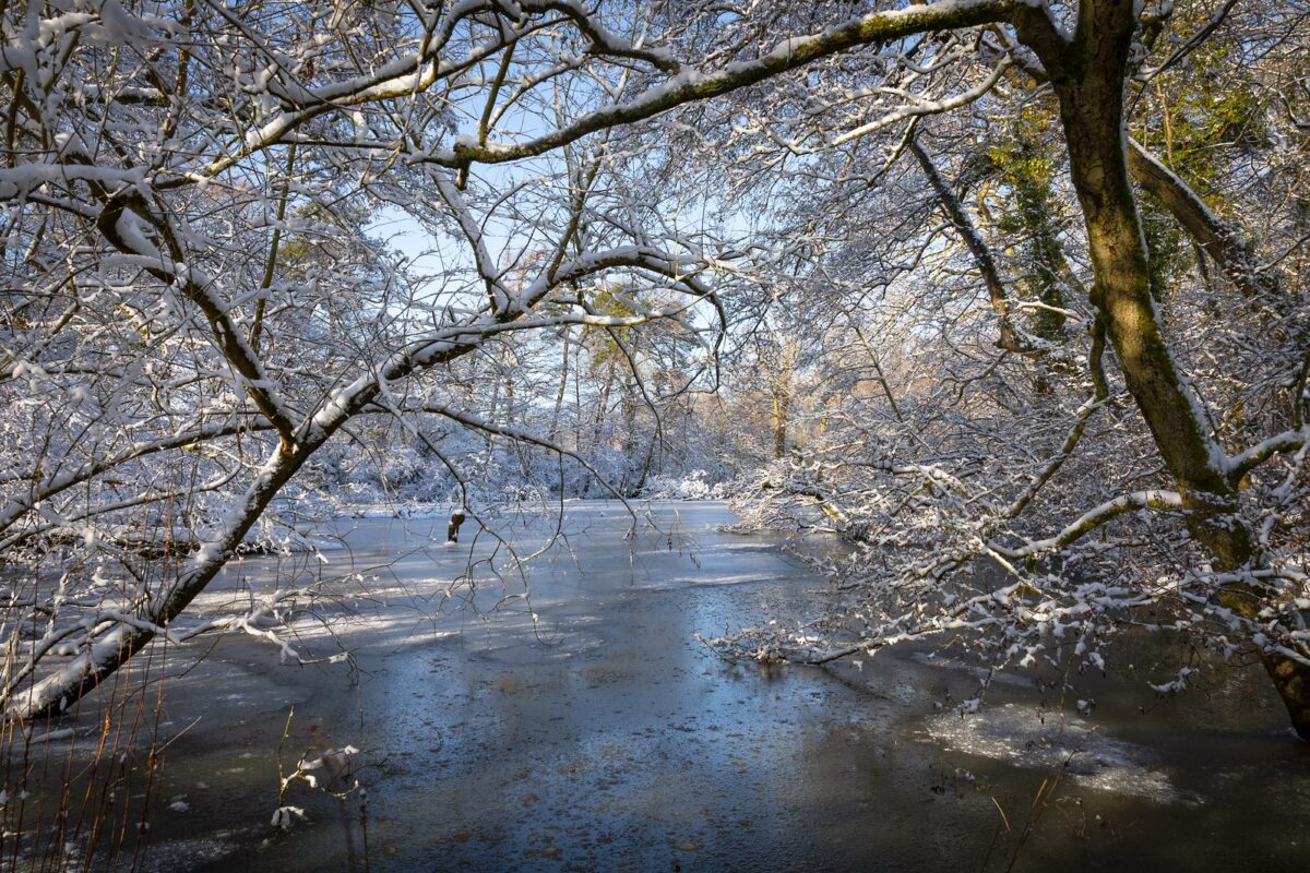 Walking in the winter wonderland of Solihull