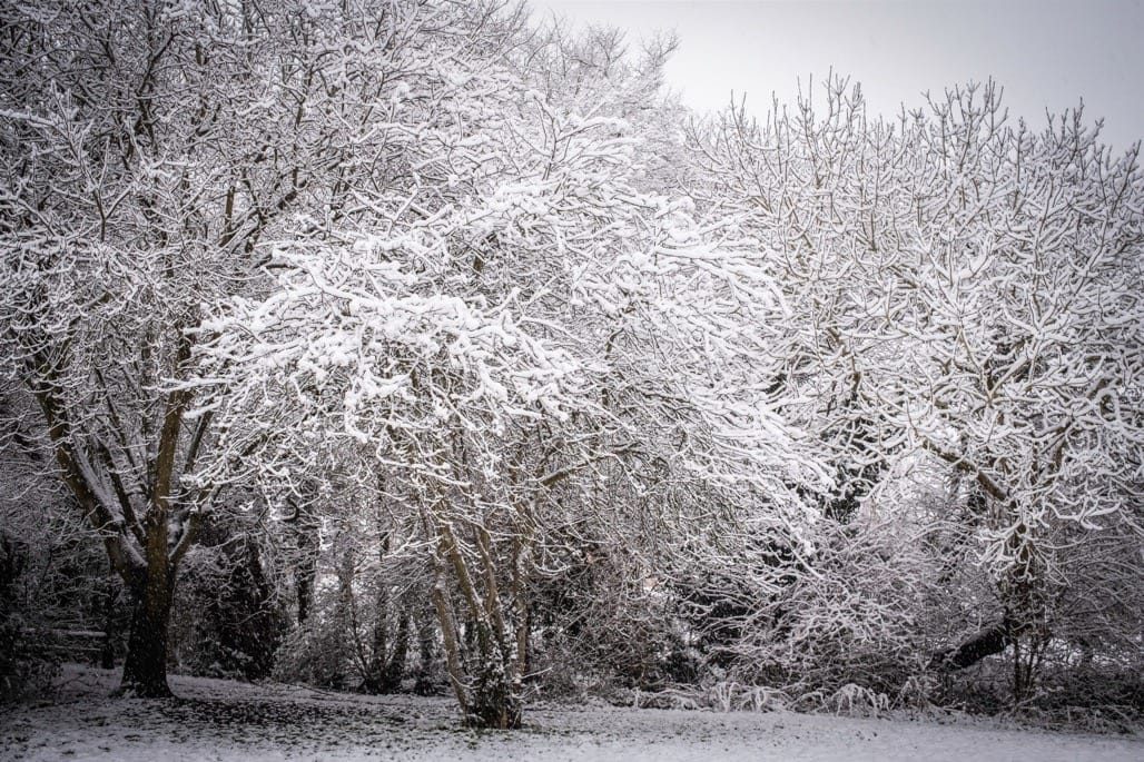 Snow in Knowle, Solihull, March, 2023