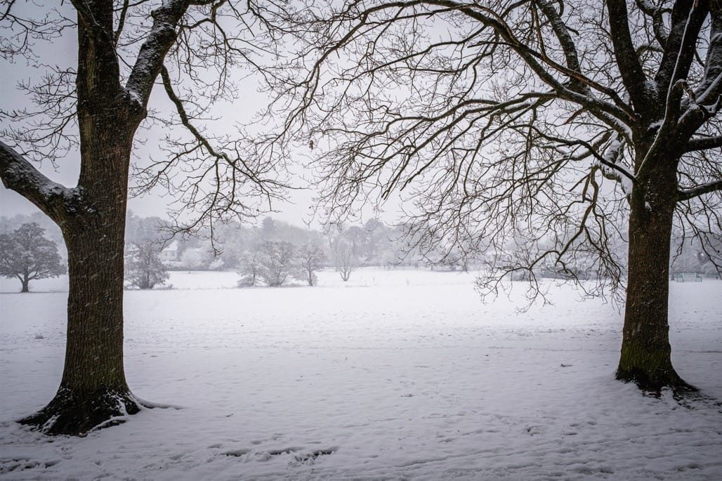 Snow in Knowle, Solihull, March, 2023