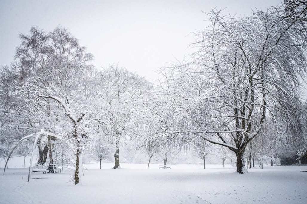 Snow in Knowle, Solihull, March, 2023
