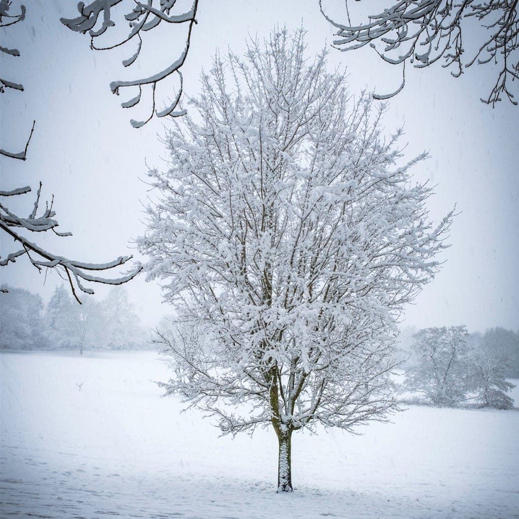Snow in Knowle, Solihull, March, 2023