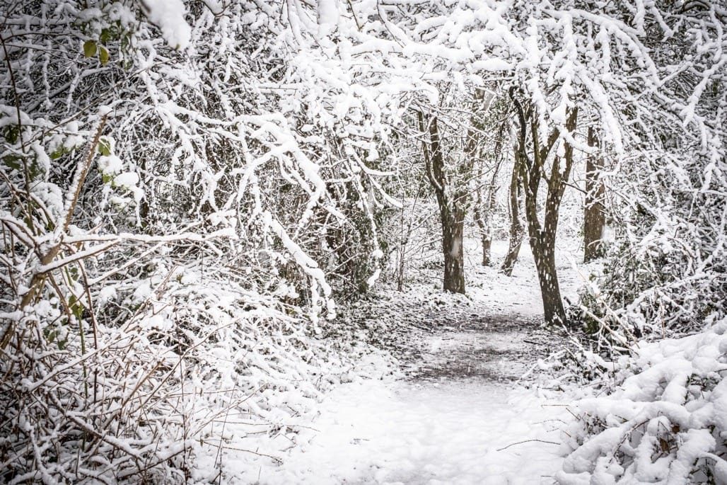 Snow in Knowle, Solihull, March, 2023