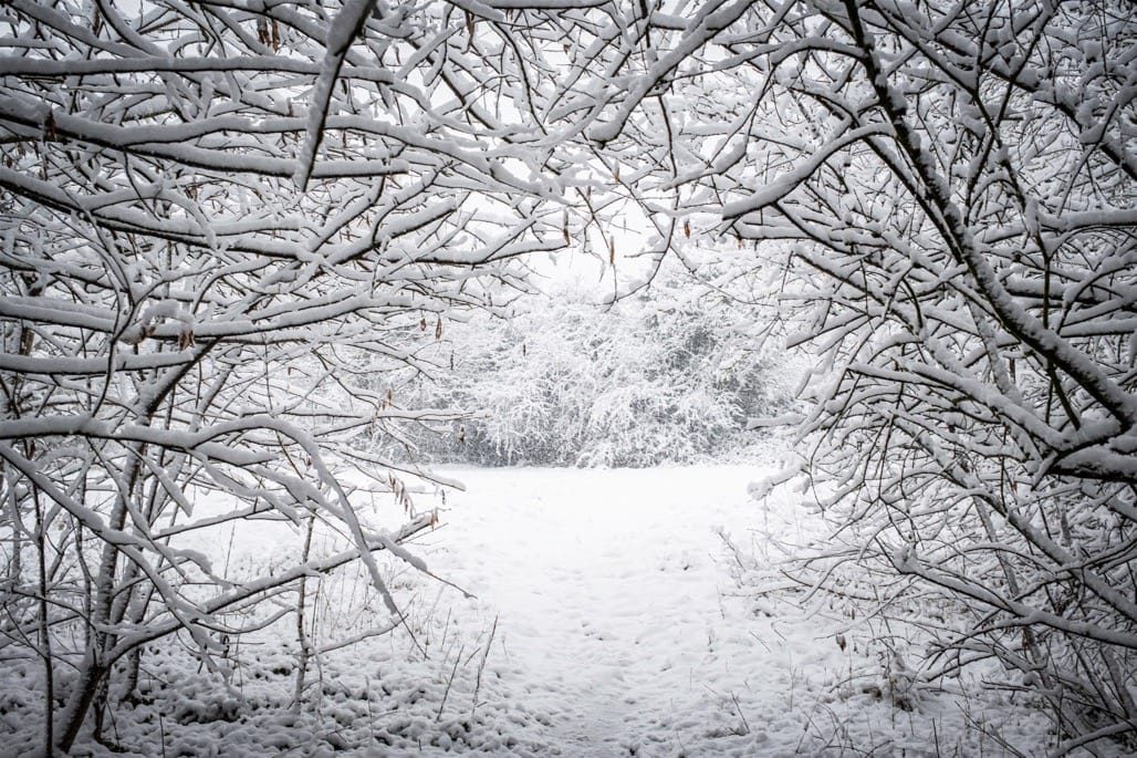 Snow in Knowle, Solihull, March, 2023