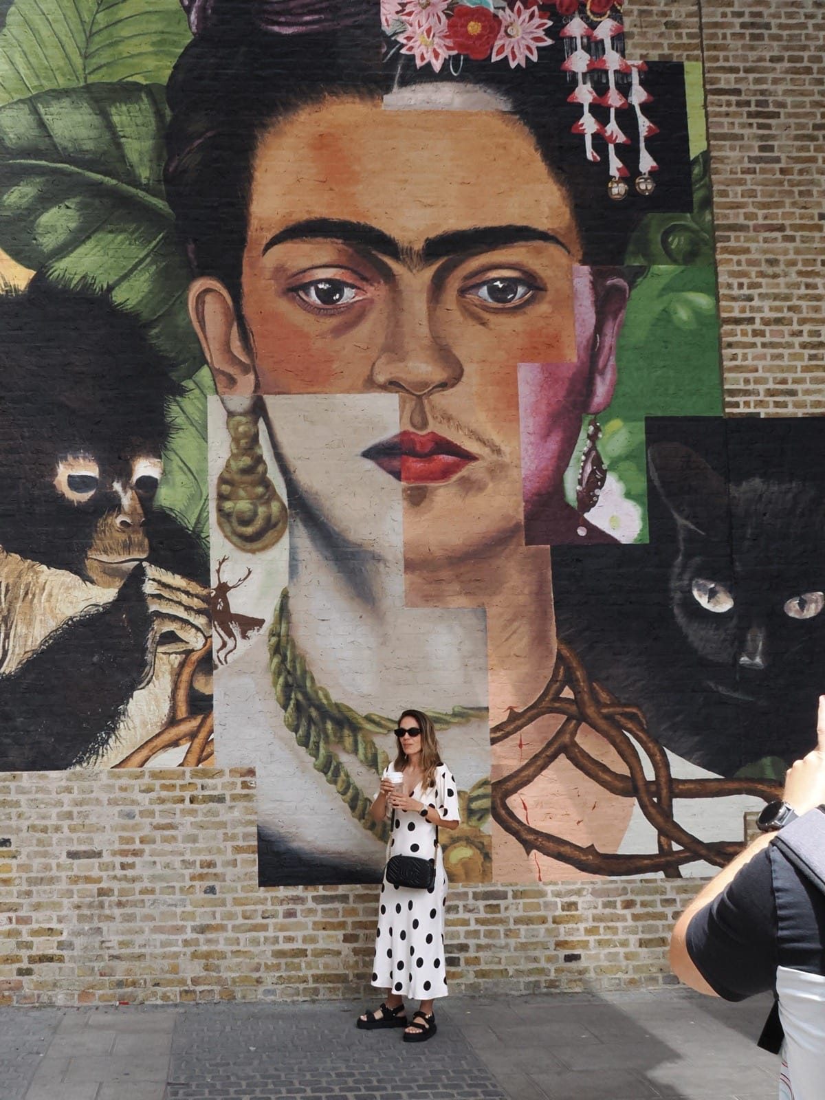 South Bank Street Photography