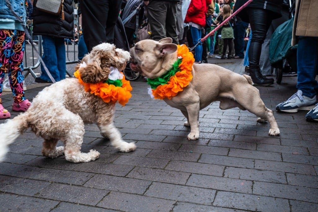 St Patrick's Day Parade, Digbeth, Birmingham, March 17th, 2024